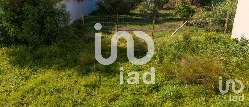 Terrain à Montenegro de 533 m²