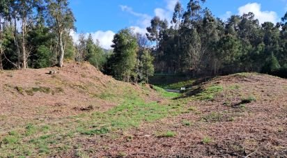 Land in Reboreda e Nogueira of 4,514 m²