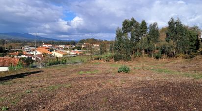 Land in Reboreda e Nogueira of 4,514 m²