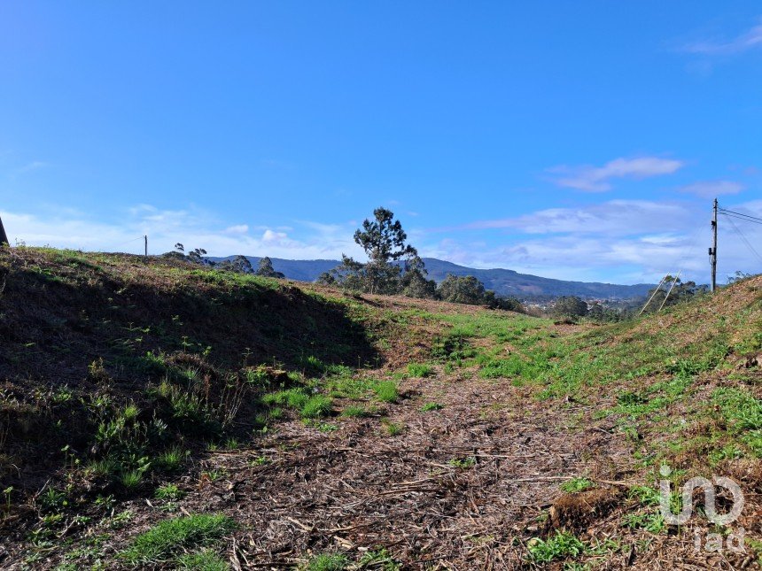 Land in Reboreda e Nogueira of 4,514 m²