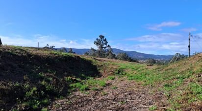 Land in Reboreda e Nogueira of 4,514 m²