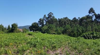 Land in Reboreda e Nogueira of 4,514 m²