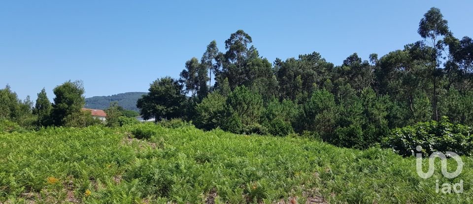 Land in Reboreda e Nogueira of 4,514 m²