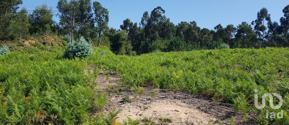Land in Reboreda e Nogueira of 4,514 m²