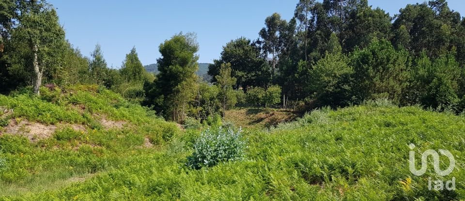 Land in Reboreda e Nogueira of 4,514 m²
