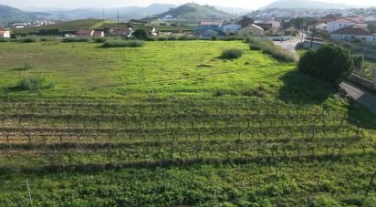 Terrain à Freiria de 15 080 m²