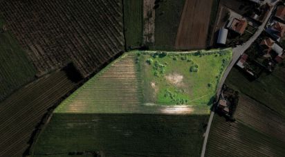 Terrain à Freiria de 15 080 m²