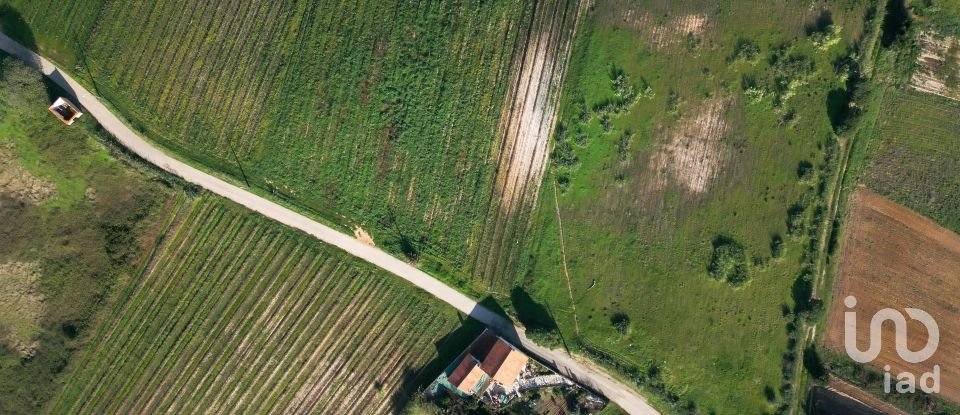 Land in Freiria of 15,080 m²