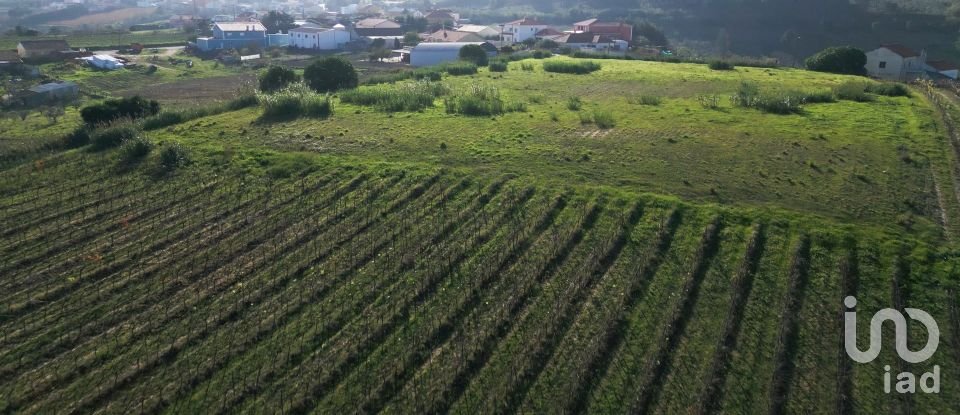 Land in Freiria of 15,080 m²