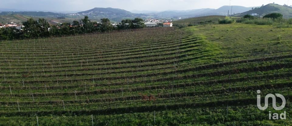 Land in Freiria of 15,080 m²