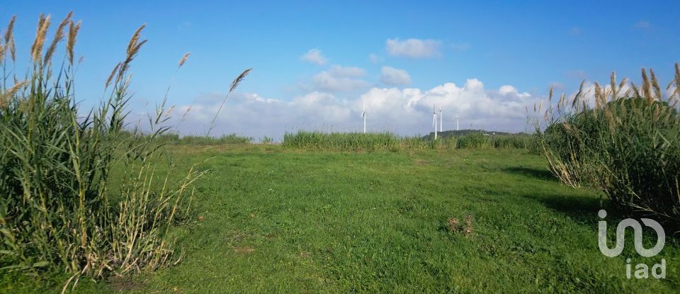 Land in Freiria of 15,080 m²