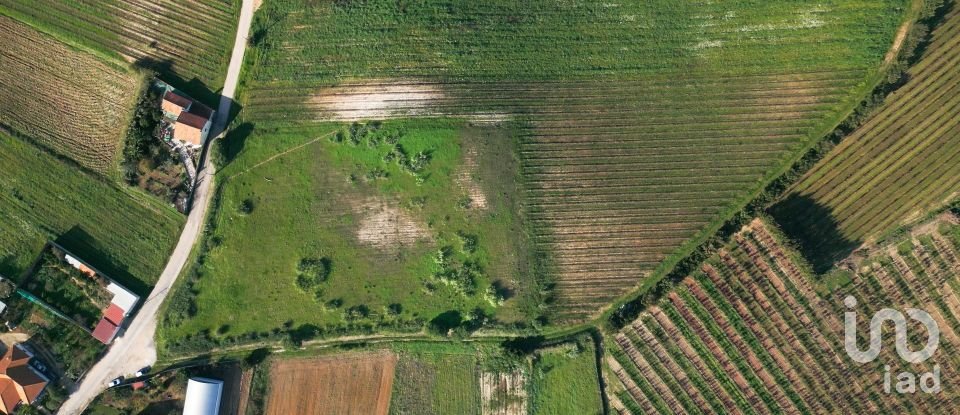 Land in Freiria of 15,080 m²