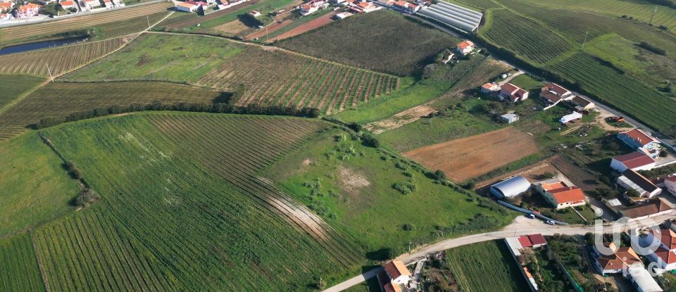 Land in Freiria of 15,080 m²