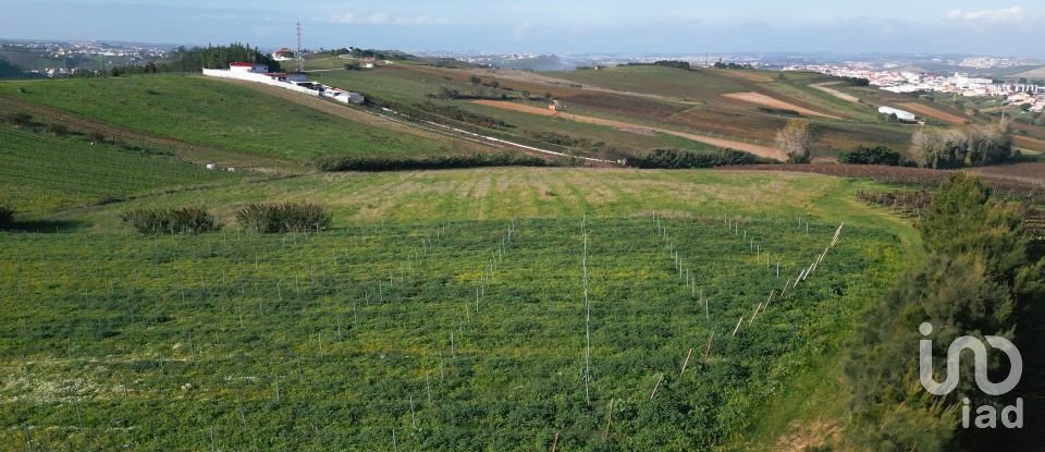 Land in Freiria of 15,080 m²