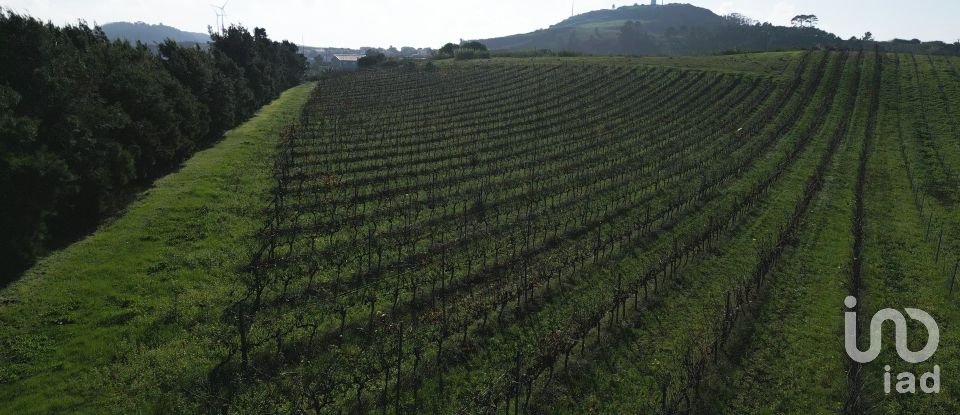 Land in Freiria of 15,080 m²