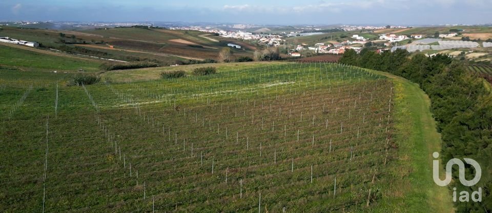 Land in Freiria of 15,080 m²