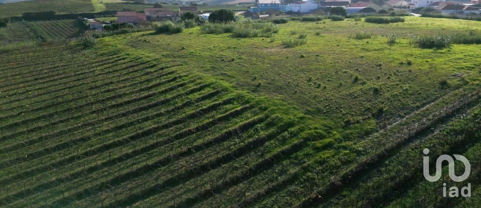 Land in Freiria of 15,080 m²