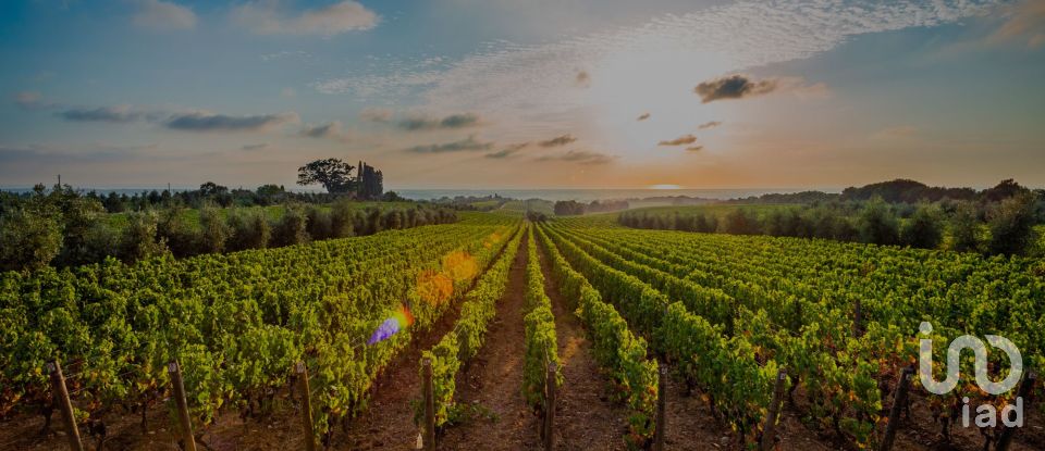 Moradia T4 em Estômbar e Parchal de 250 m²