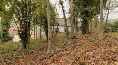 Maison traditionnelle T3 à Ardegão, Freixo e Mato de 117 m²