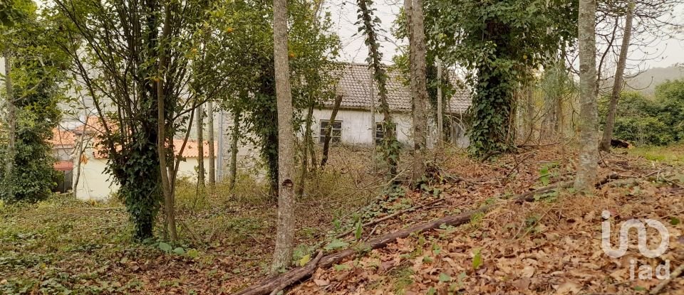 Traditional house T3 in Ardegão, Freixo e Mato of 117 m²