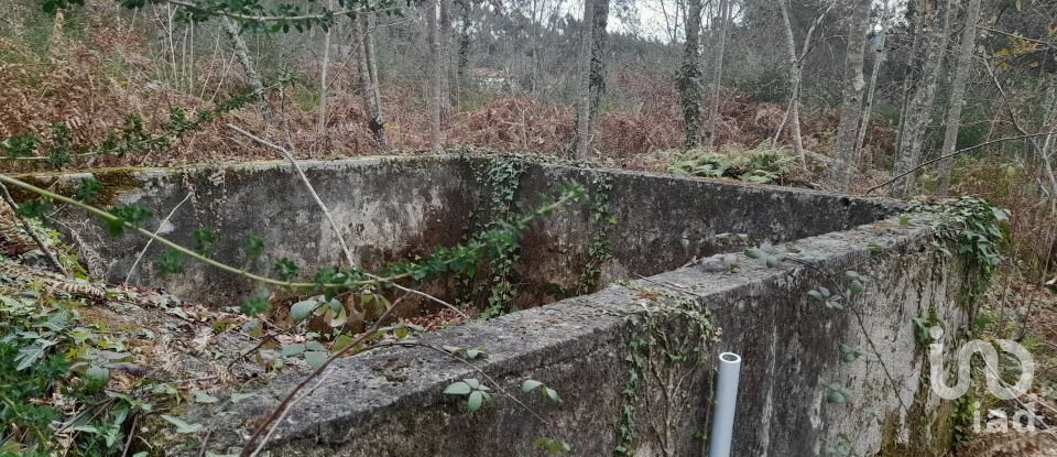 Traditional house T3 in Ardegão, Freixo e Mato of 117 m²