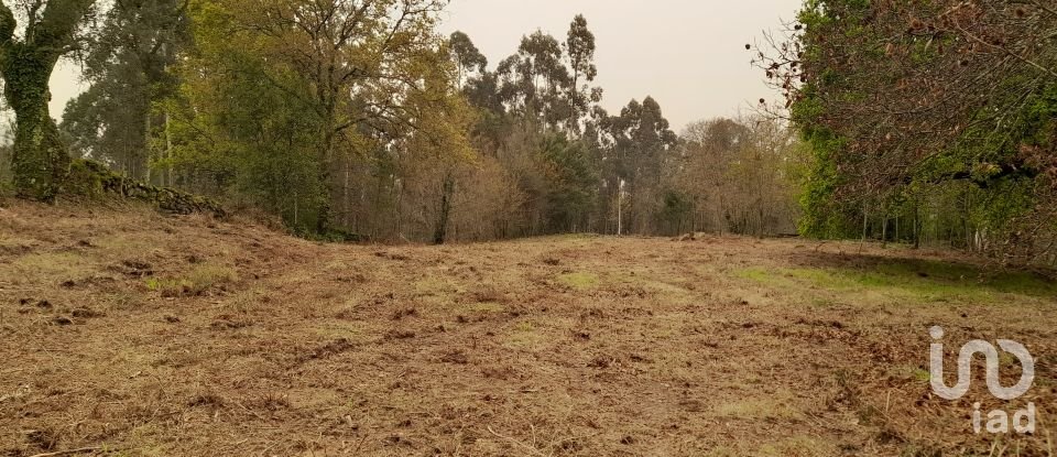 Traditional house T3 in Ardegão, Freixo e Mato of 117 m²