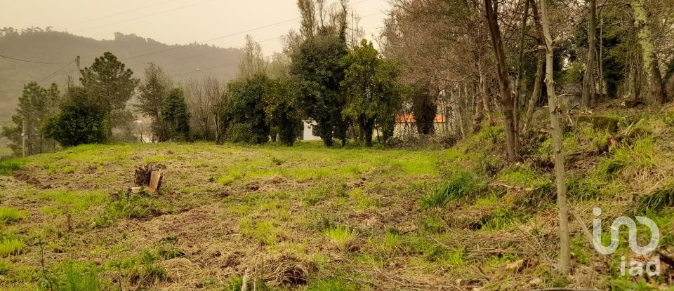 Traditional house T3 in Ardegão, Freixo e Mato of 117 m²