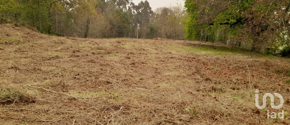 Traditional house T3 in Ardegão, Freixo e Mato of 117 m²