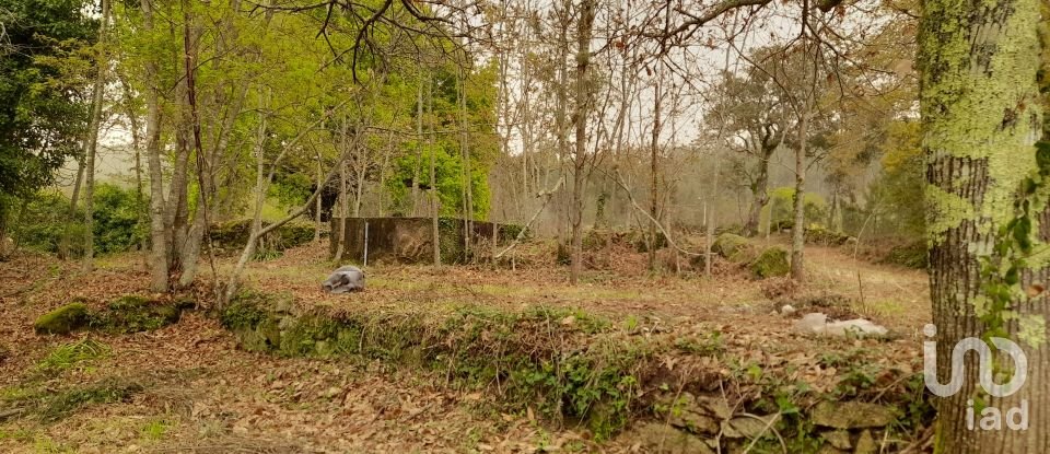 Traditional house T3 in Ardegão, Freixo e Mato of 117 m²