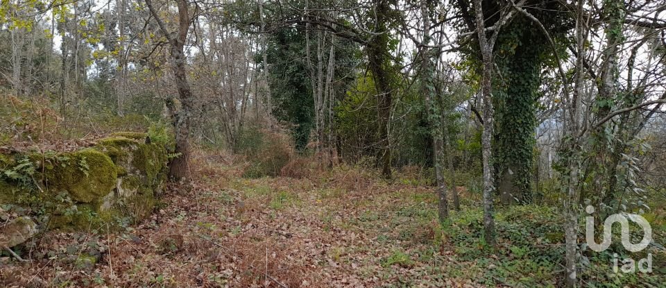 Traditional house T3 in Ardegão, Freixo e Mato of 117 m²