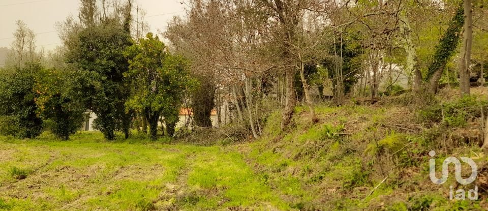 Traditional house T3 in Ardegão, Freixo e Mato of 117 m²