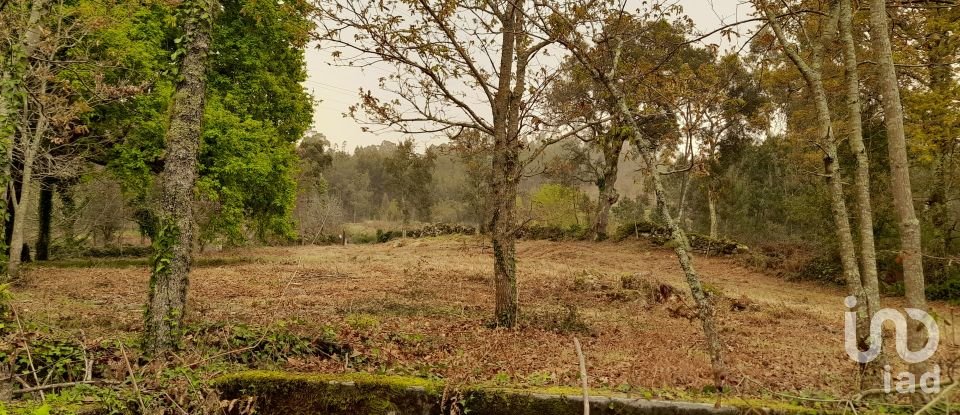 Traditional house T3 in Ardegão, Freixo e Mato of 117 m²