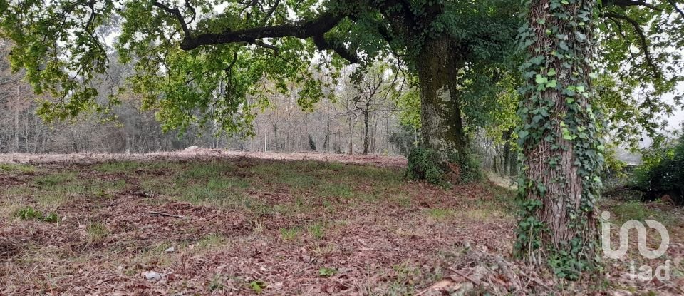 Traditional house T3 in Ardegão, Freixo e Mato of 117 m²