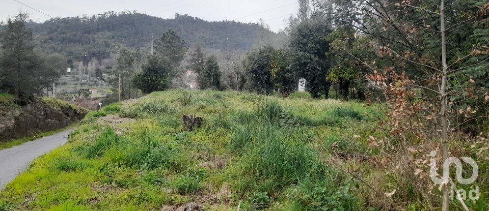 Traditional house T3 in Ardegão, Freixo e Mato of 117 m²