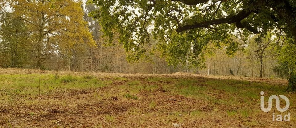 Traditional house T3 in Ardegão, Freixo e Mato of 117 m²