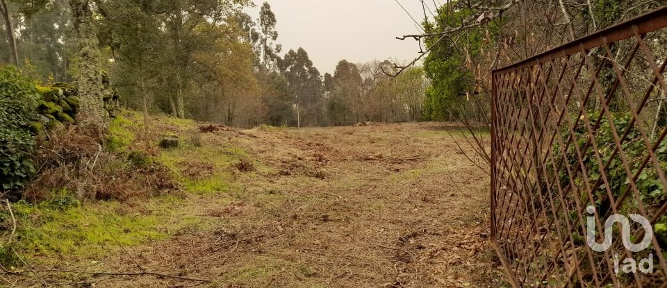 Traditional house T3 in Ardegão, Freixo e Mato of 117 m²