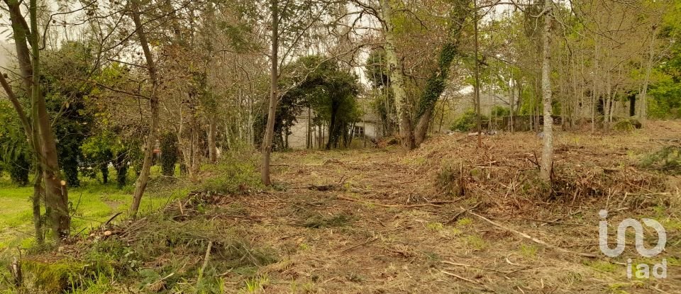 Traditional house T3 in Ardegão, Freixo e Mato of 117 m²