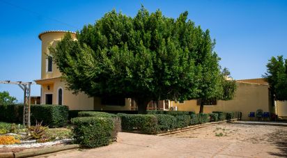 Ferme T4 à Alcantarilha e Pêra de 207 m²