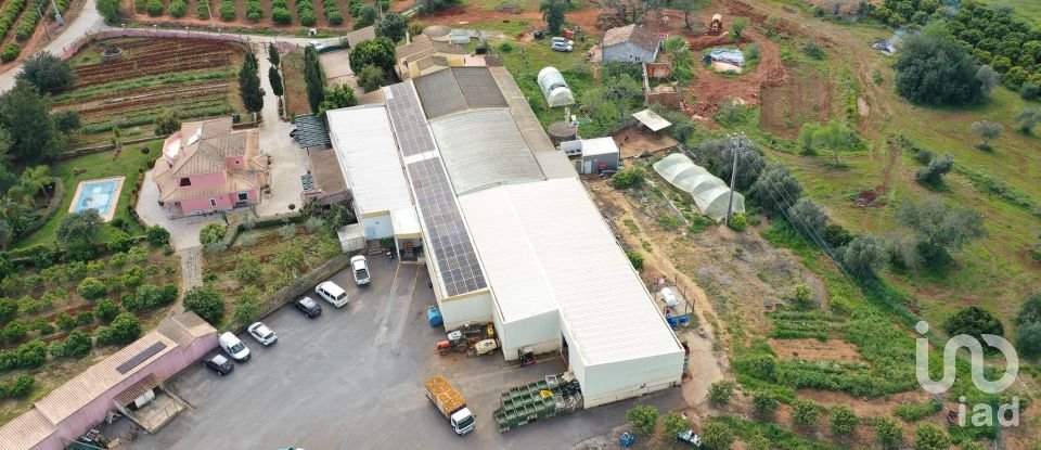 Ferme T4 à Alcantarilha e Pêra de 207 m²