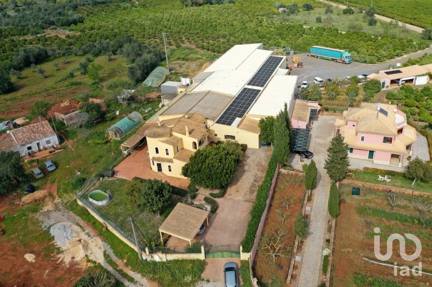 Ferme T4 à Alcantarilha e Pêra de 207 m²