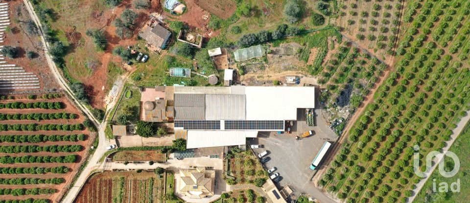 Ferme T4 à Alcantarilha e Pêra de 207 m²