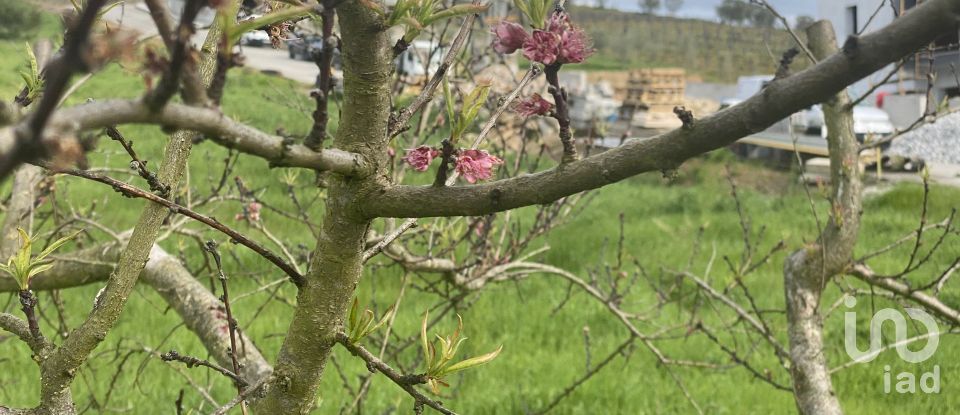 Building plot in Poiares e Canelas of 520 m²