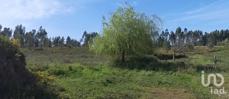 Maison T4 à Pedrógão Grande de 456 m²