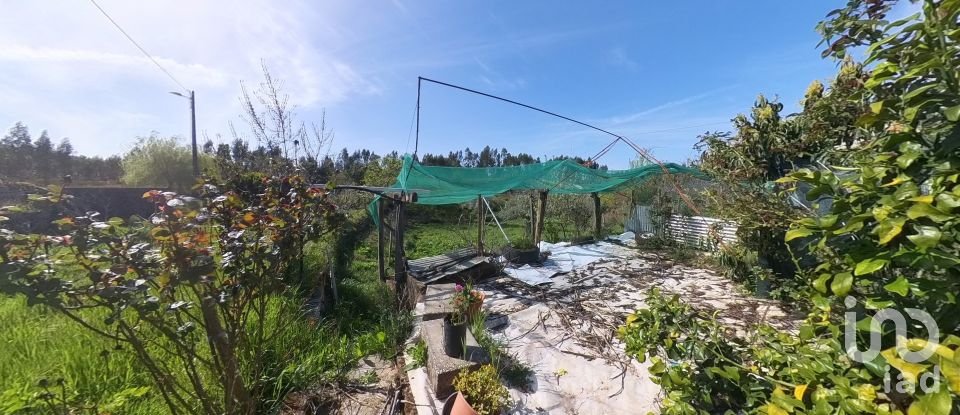 Maison T4 à Pedrógão Grande de 456 m²