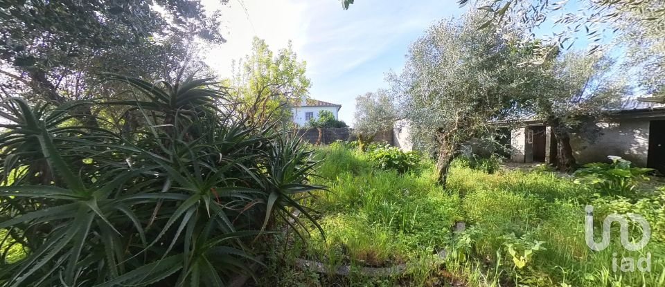 Land in Pedrógão Grande of 360 m²