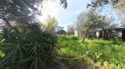 Terreno em Pedrógão Grande de 360 m²