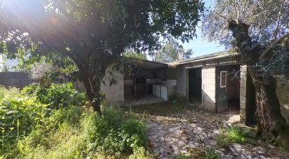 Terreno em Pedrógão Grande de 360 m²