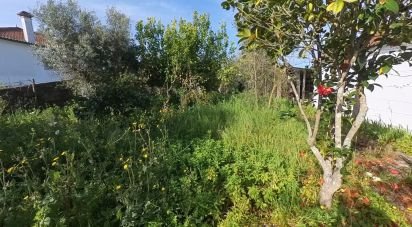 Terreno em Pedrógão Grande de 360 m²