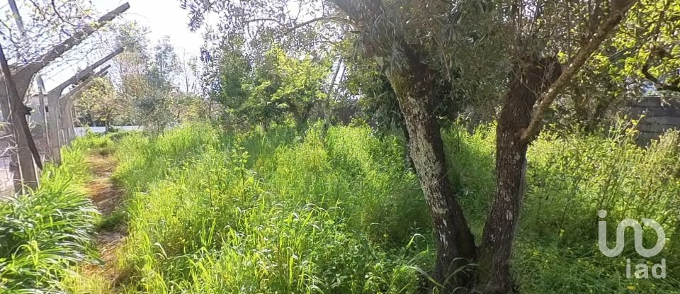 Land in Pedrógão Grande of 360 m²