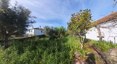 Terreno em Pedrógão Grande de 360 m²